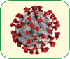 COVID19 virus
