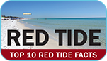 a card with information about Red Tide